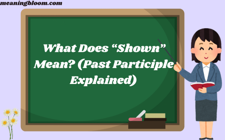 Showned Shown vs Showed? The One Spelling Rule You Must Never Get Wrong ...