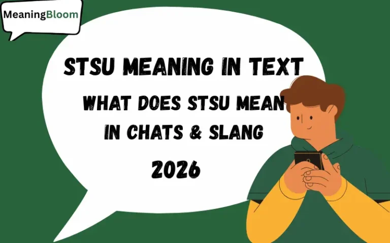STSU Meaning in Text