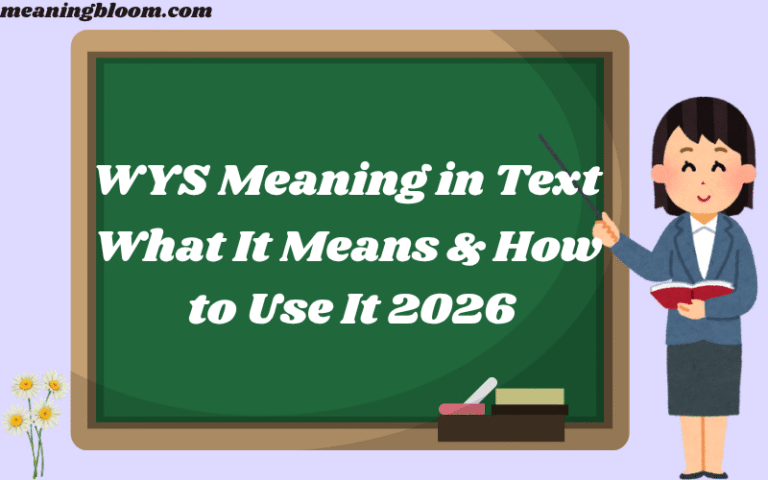 WYS Meaning in Text