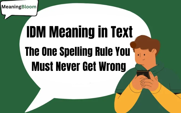 IDM Meaning in Text